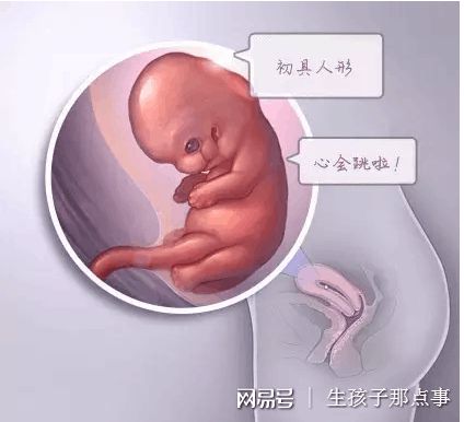 培养室